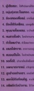 อมตะลูกทุ่งไทย - ผู้เสียสละ คาราโอเกะ VCD1085-web2